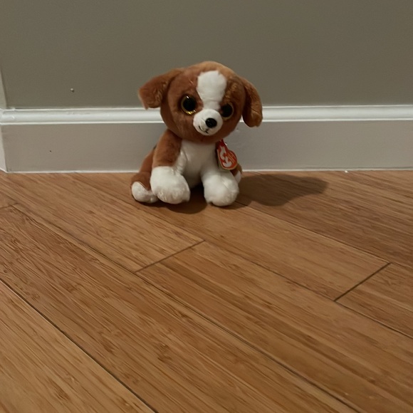 BEANIE BOOS! Raccoon, red panda, dog!  Two have tags. AVAILABLE NOW! - Picture 2 of 4